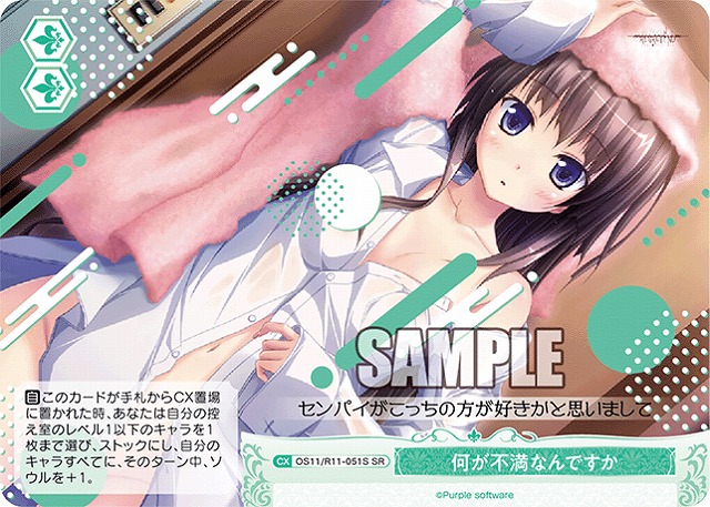 何が不満なんですか(SR) 【OS11/R11-051SR】